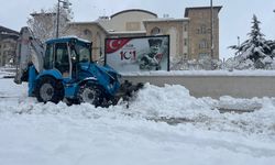 168 Yerleşim yolu ulaşıma kapandı