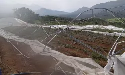 Derecik'te Fırtına Seraları Yerle Bir Etti: Üreticiler Büyük Zararda