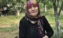 Çukurca'da vefat: Meryem Doğan Hayatını Kaybetti