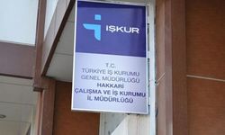 Hakkari ve İlçelerinde 254 kişi işe alınacak!