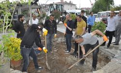 Çukurca Belediyesi’nden park ve Yeşil Alan çalışmaları