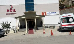 Çukurca’da Ceviz Toplarken Ağaçtan Düşen Yaşlı Adam Hayatını Kaybetti