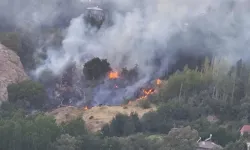 Hakkari'de korkutan orman yangını!