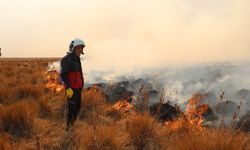Yüksekova’daki Nehil Sazlığı’ndaki yangına havadan müdahale ediliyor