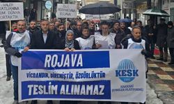 Hakkâri KESK’ten Halep’teki Saldırılara Sert Tepki