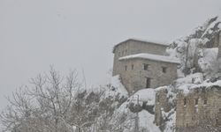 Çukurca ilçesinde kar yağışı hayatı olumsuz etkiliyor