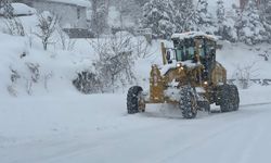 Hakkari’de 68 Yerleşim Yeri Kapalı