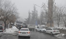 Çukurca ilçesinde sis etkili oldu