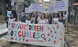 Hakkari’de KESK’li Kadınlardan 8 Mart Açıklaması