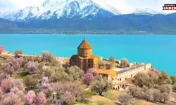 Van’da Akdamar Badem Çiçeği Festivali’nin tarihi belli oldu