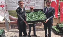 Çukurca’da Tarıma %75 Hibeli Fide Desteği