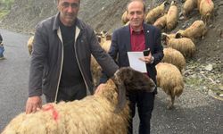Yeni Kurulan İhya ve İnfak Derneği’nden Hakkari’de 487 Aileye Kurban Yardımı