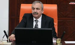 DEM Parti Hakkâri İl Örgütü’nden Sırrı Süreyya Önder için anma mesajı