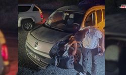 Çukurca'da otomobil ata çarptı: Sürücü yaralandı