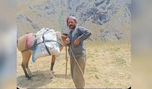 Koyun otlatan çoban hayatını kaybetti