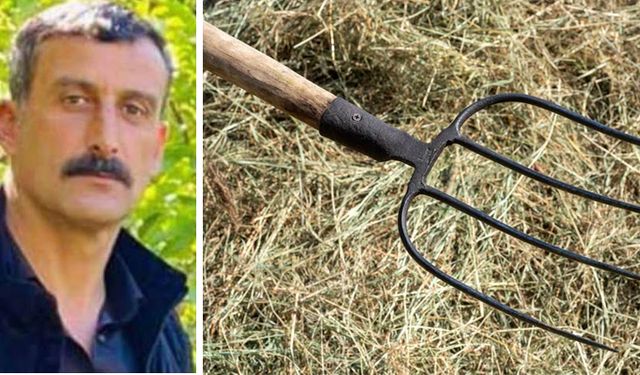 Kardeş Kavgası Cinayetle Bitti: Ağır Yaralanan Kardeş Hayatını Kaybetti