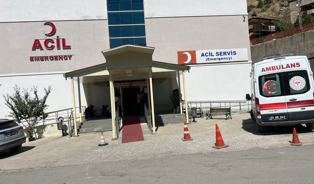 Çukurca’da Ceviz Toplarken Ağaçtan Düşen Yaşlı Adam Hayatını Kaybetti