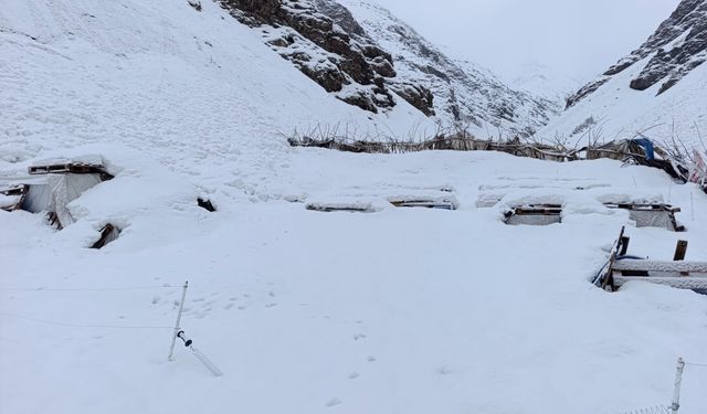Hakkari’de 37 Arı Kovanı Kar Altında Kaldı