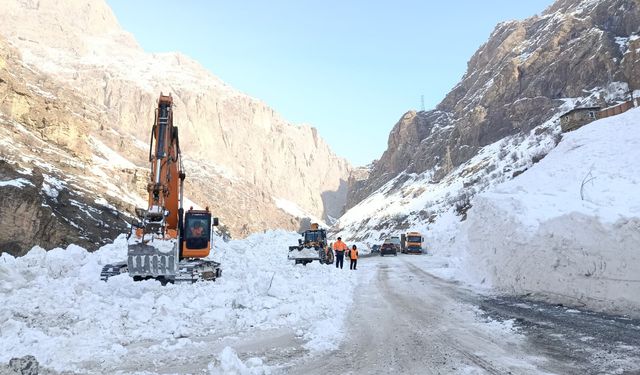 Hakkari’de 59 Köy ve 170 Mezra Yolunda Ulaşım Yok
