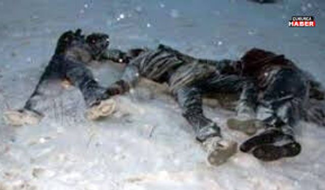 Hakkari'ye 4 cenaze getirildi!