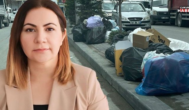 CHP’li Çakırbeyli’den Sert Tepki: Hakkari’de Çöp Krizi Büyüyor