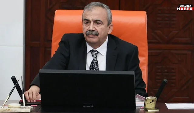 DEM Parti Hakkâri İl Örgütü’nden Sırrı Süreyya Önder için anma mesajı