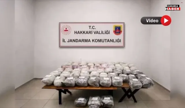 Hakkâri Dahil 30 İlde Eş Zamanlı Baskın