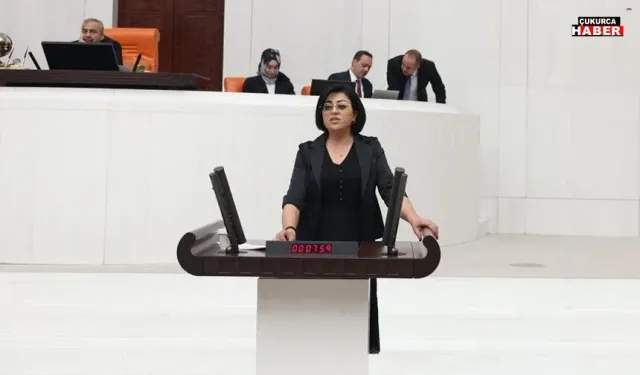 Hakkari Cezaevi'ndeki iddialar için araştırma çağrısı
