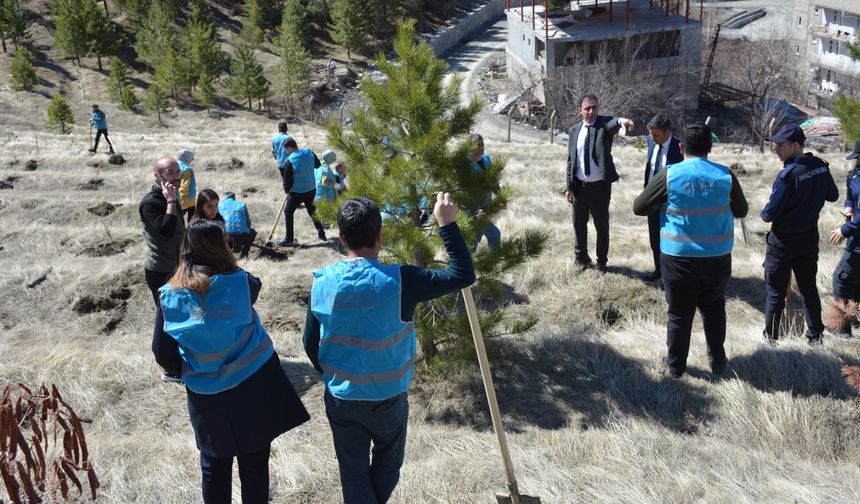 Orman Haftası Etkinliği: 100 Fidan Toprakla Buluştu