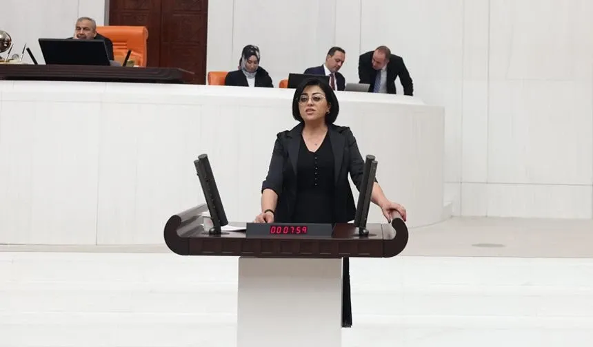 Milletvekili Bartın, Su Sorununu meclise taşıdı