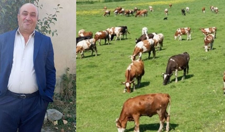 Hayvan Otlatırken Bacağından Vuruldu