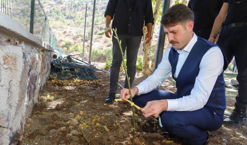 Kaymakam Cebeci fidan dikimine katıldı