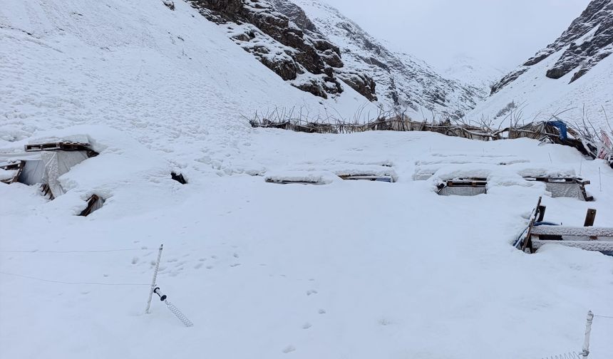Hakkari’de 37 Arı Kovanı Kar Altında Kaldı
