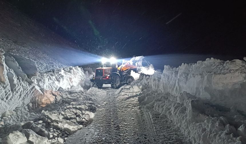 Hakkari–Van Karayolunda Çığ Alarmı