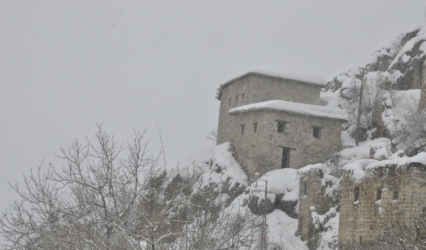 Çukurca ilçesinde kar yağışı hayatı olumsuz etkiliyor