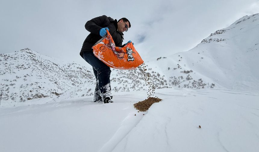 Başkan Şakar, Doğadaki Canlar İçin Harekete Geçti