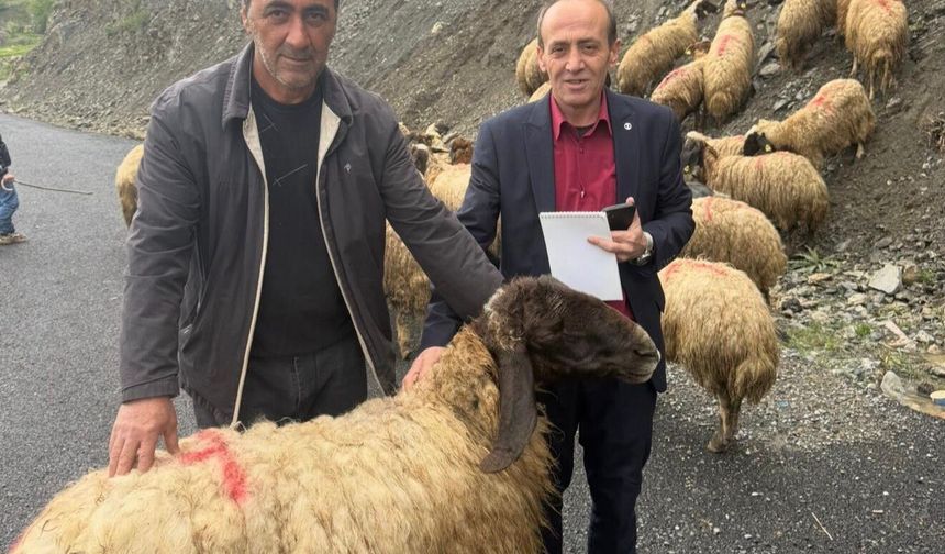 Yeni Kurulan İhya ve İnfak Derneği’nden Hakkari’de 487 Aileye Kurban Yardımı