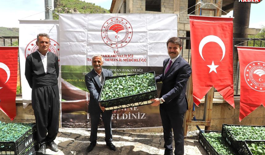 Kaymakam Cebeci Katılımıyla Çiftçilere Fide Dağıtımı