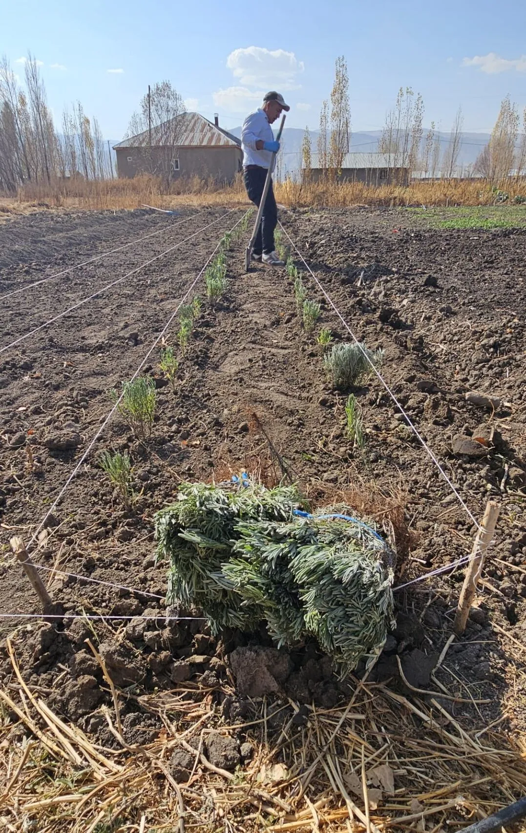 I M G 20251108 183928