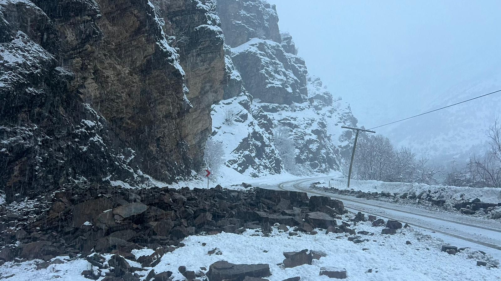 A552Cfd0 930C 4114 818D 31704B764Dca