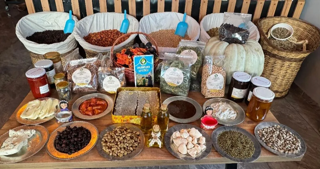 I M G 20251217 173032