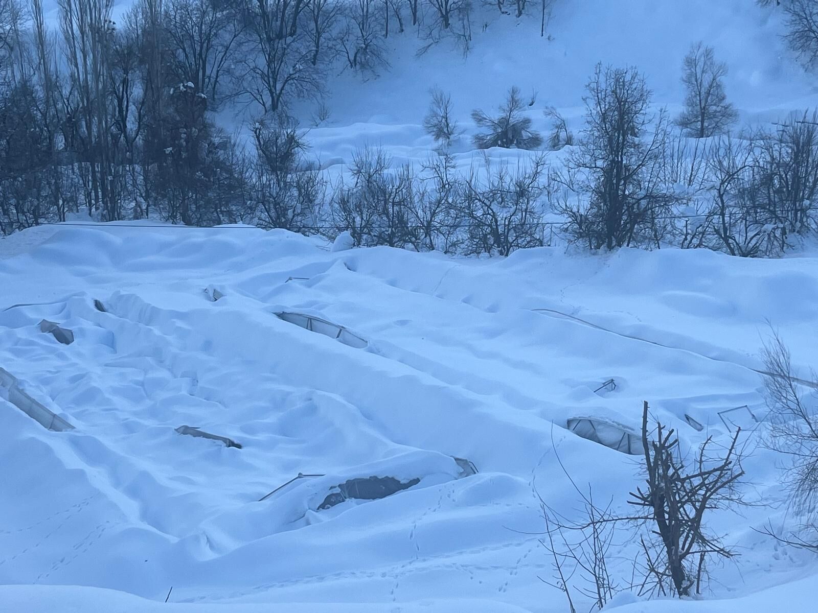 28D3Aeda 07E6 48D7 8B17 C0Cbb066D3E5