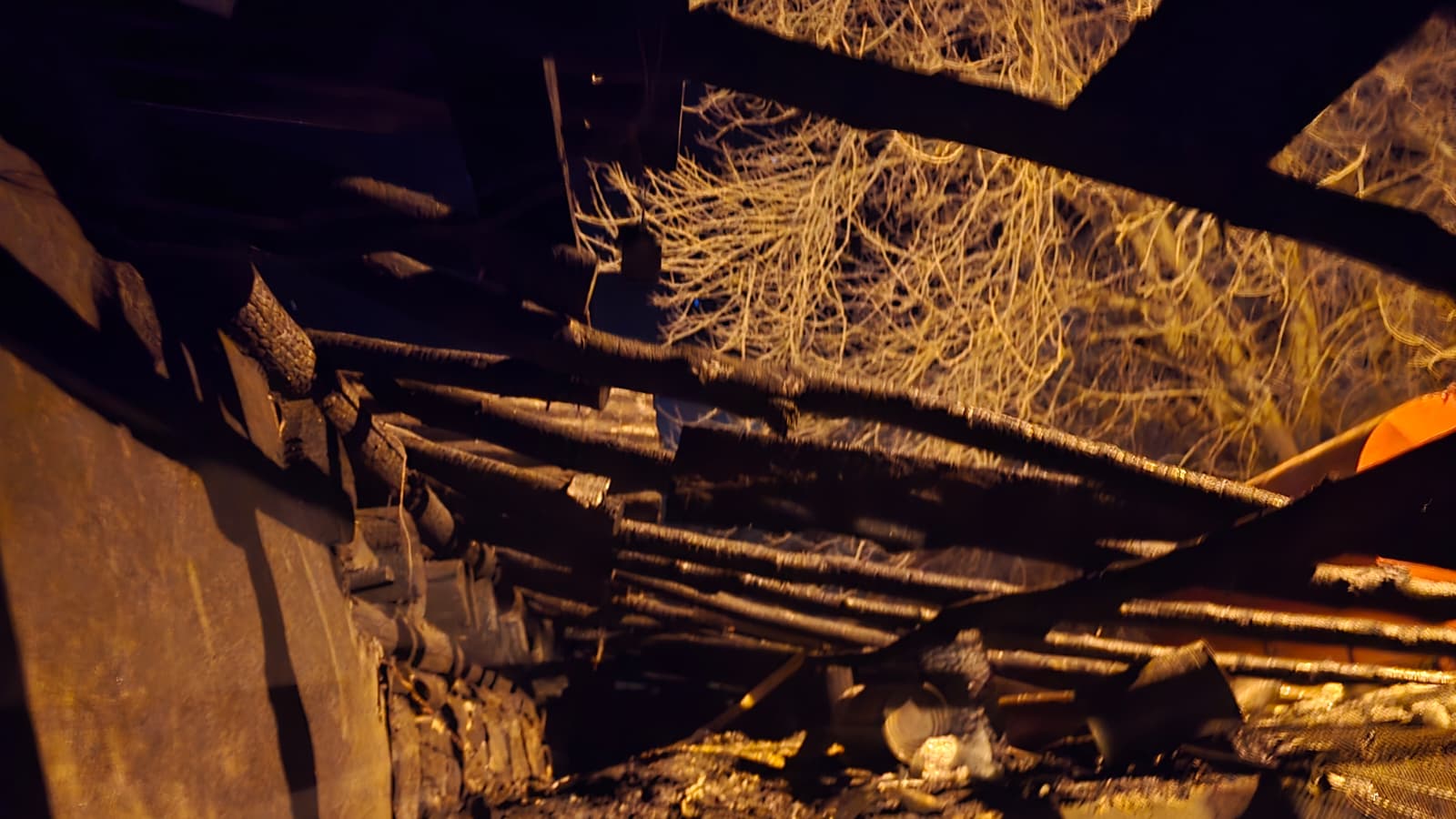 52139358 8Eaa 45D9 B7B6 1Edd0E042319