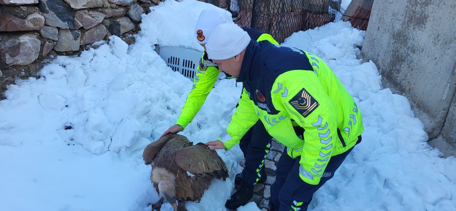 6Acecc00 499F 4C28 980A 3Aa38007Ac2B