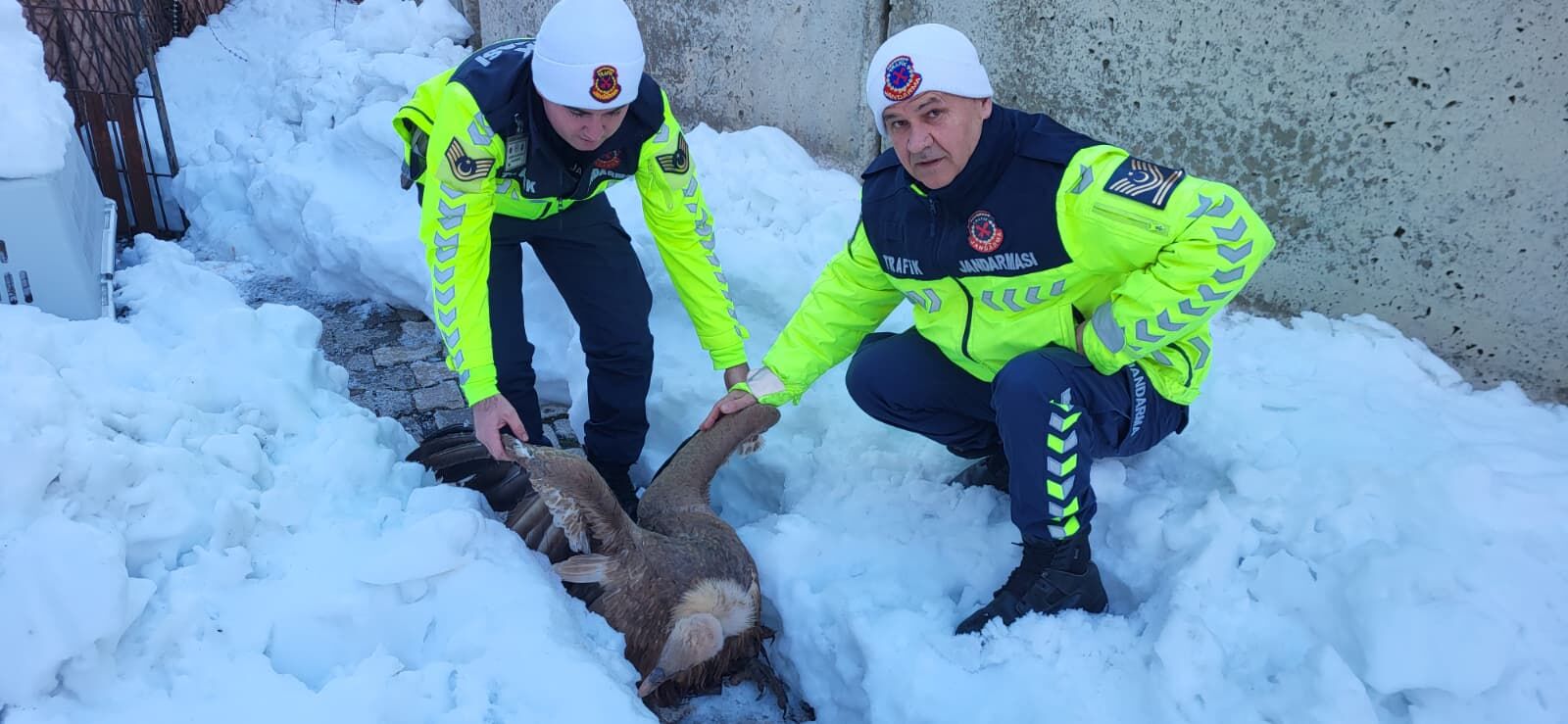 84166901 801F 47E1 B275 602890817635