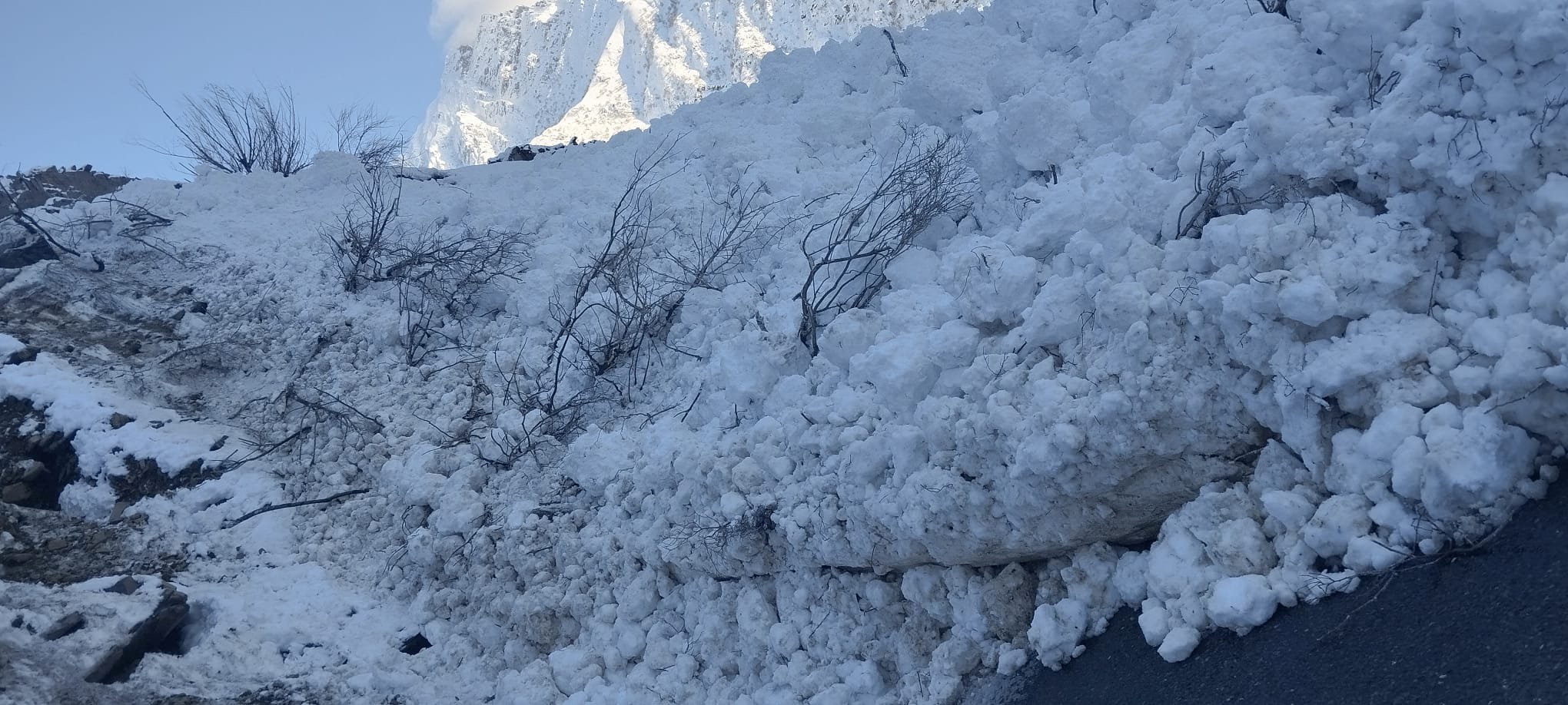 8814B41F 0Acd 4B68 9B2A 3F18Fa375074