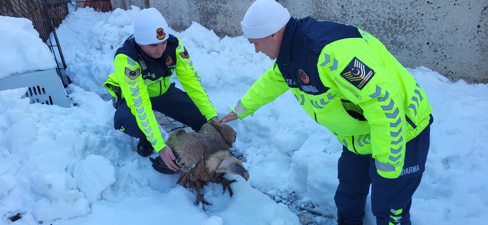 939F93F6 A5D6 4F65 89F3 Acefe24B4282