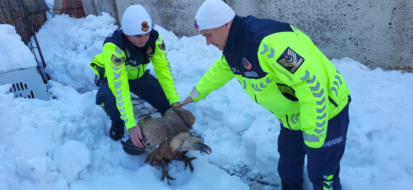 94294Cfb 7D48 4D1B B5D6 15F4Aa75Ee80