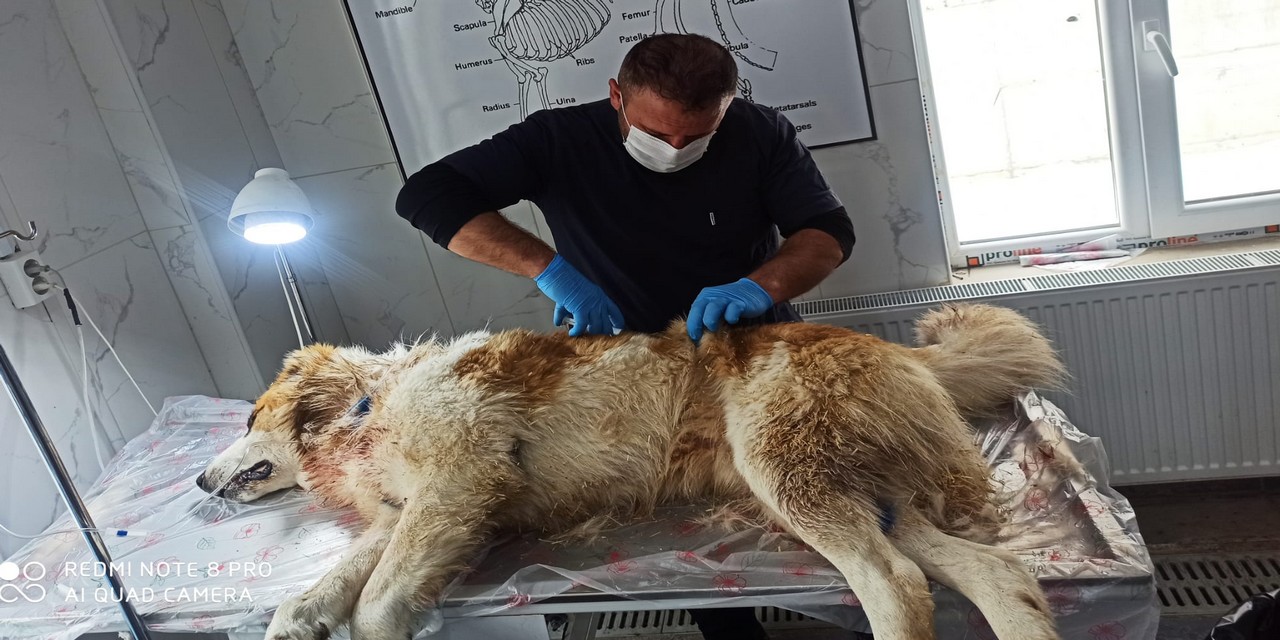 B247260A E2A9 4B00 A228 9103550Df18E