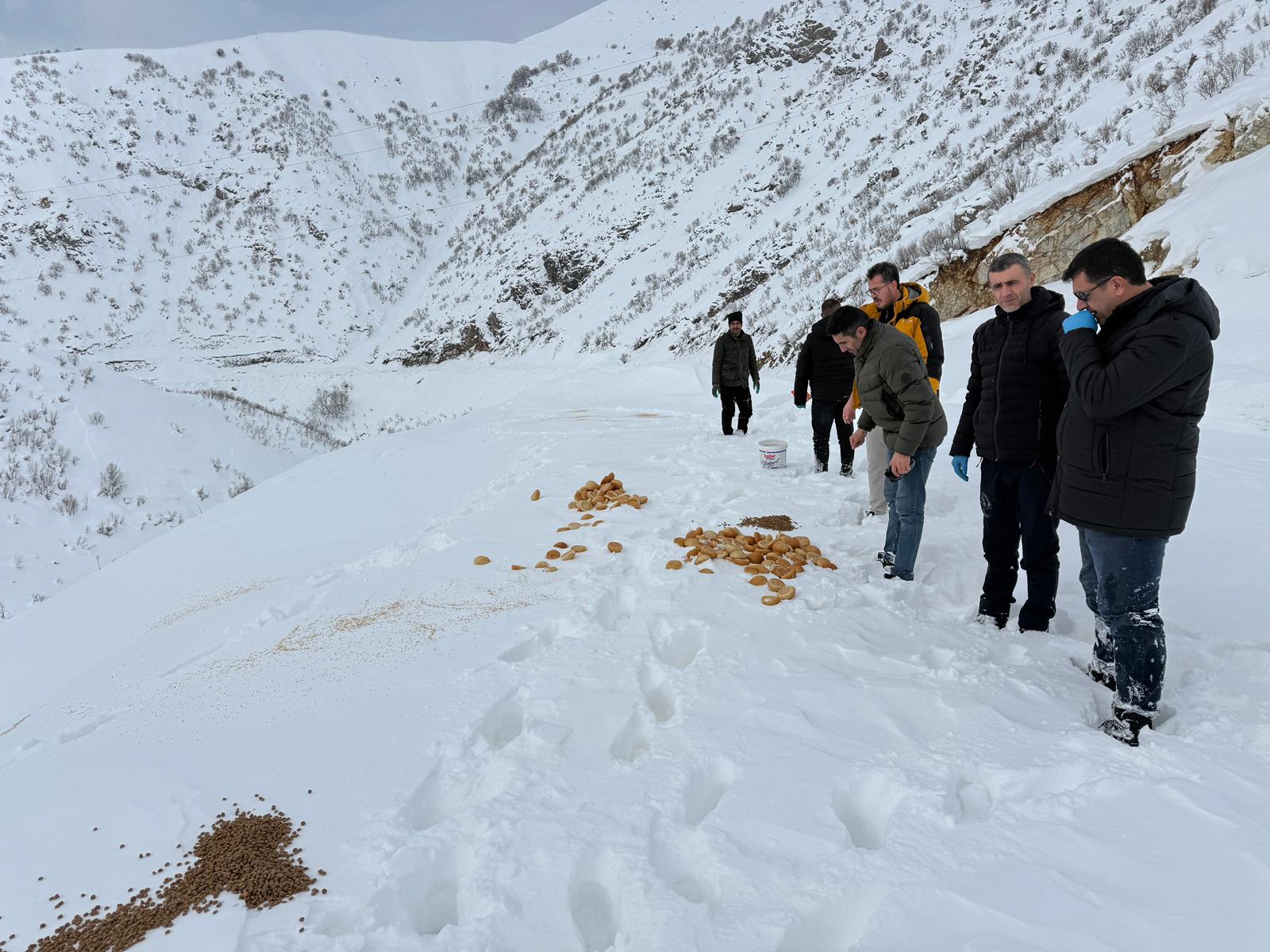 Ca320A74 6802 435F 9C1D 4Ba5362Aeec2